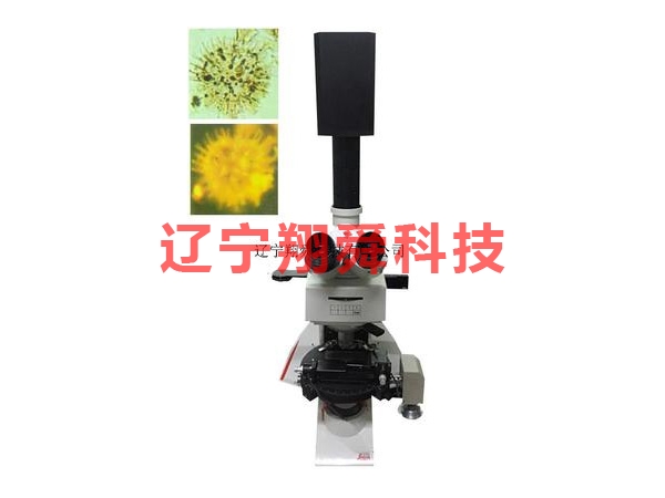 YG 1000A coal fluorescence analysis system